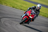 PJ-Motorsport-2019;anglesey-no-limits-trackday;anglesey-photographs;anglesey-trackday-photographs;enduro-digital-images;event-digital-images;eventdigitalimages;no-limits-trackdays;peter-wileman-photography;racing-digital-images;trac-mon;trackday-digital-images;trackday-photos;ty-croes